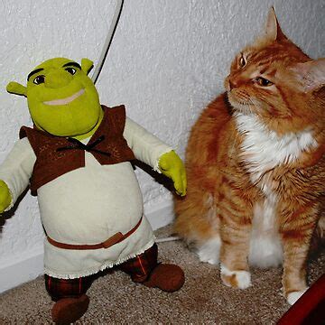 "Sassy & Shrek" Photographic Print by natgirl73 | Redbubble