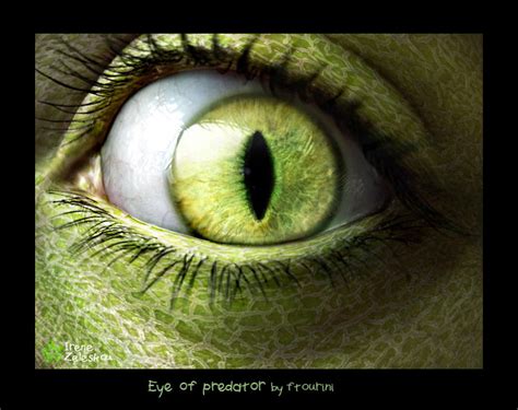 Eye Of A Predator By Ftourini On Deviantart