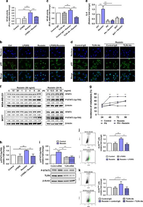 Resistin Mediated Signaling Pathways In Breast Cancer Cells A C The