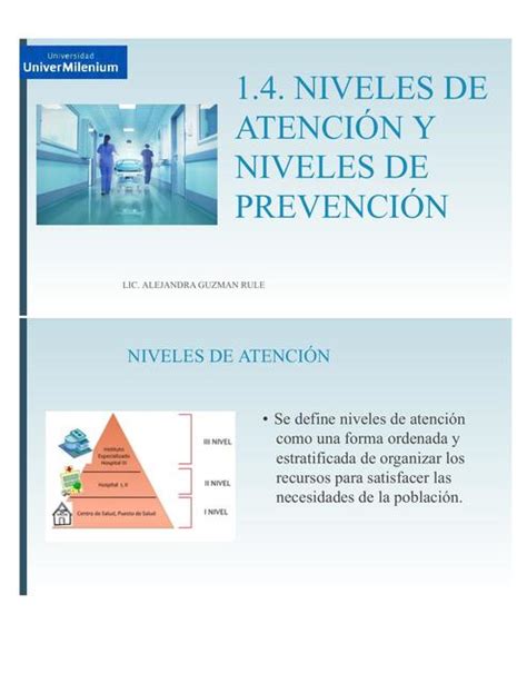 Niveles de atención y niveles de prevención Tesa Guzmán uDocz