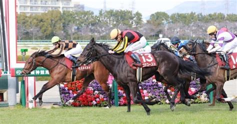 【2024 チューリップ賞（g2）】日刊馬番コンピ指数分析予想篇｜haya