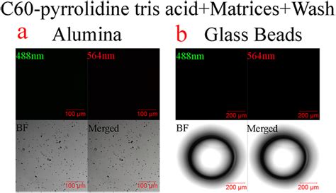 Non Stickiness Of C60 Pyrrolidine Tris Acid Monitored By Confocal Laser