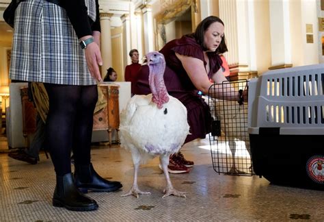 Biden celebrates 81st birthday pardoning turkeys Liberty and Bell ahead of Thanksgiving