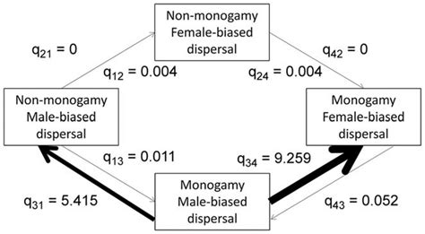 Path Diagram Showing Evolutionary Transition Rates Among Four Character