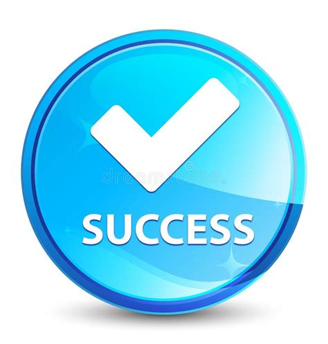 Success Validate Icon Splash Natural Blue Round Button Stock Vector