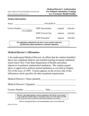 Fillable Online Health Ny Health Information Document New York State