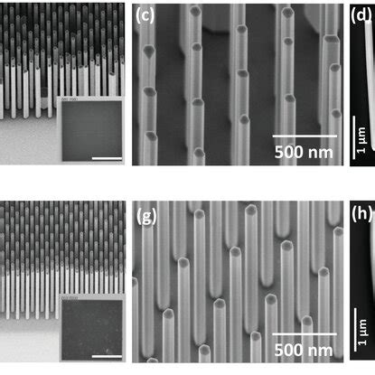 Schematic Overview Of 2D Nanostructured Materials And Different Types