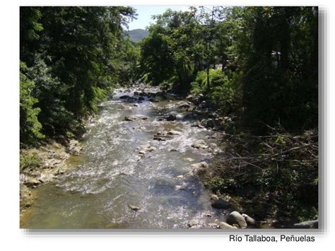 Recursos Naturales De Puerto Rico