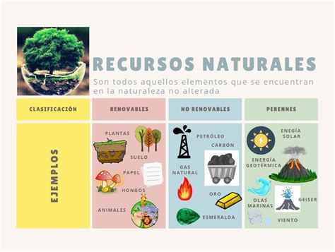 Dibujos Actividades De Recursos Naturales Renovables Y No Renovables