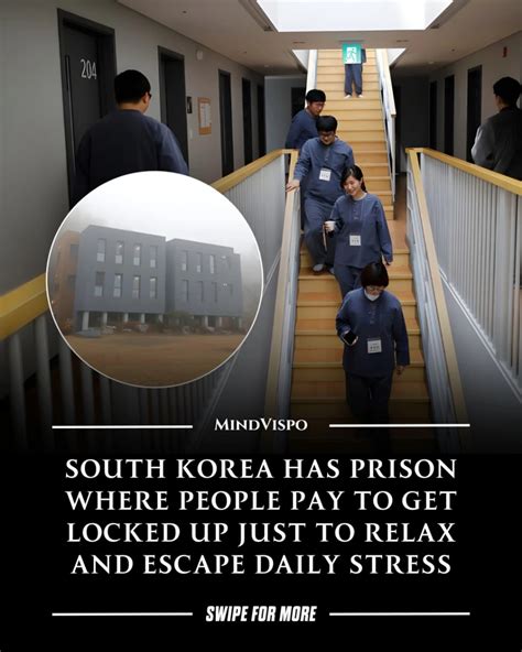 Mind Vispo | Mindset & Motivation (@mindvispo) • Instagram photos and