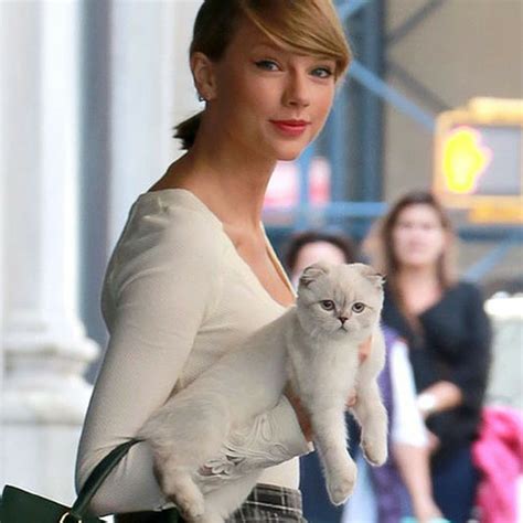 Taylor Swift Cats Names