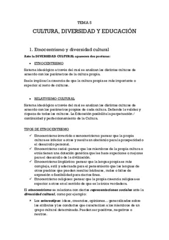 Tema Fundamentos Pdf