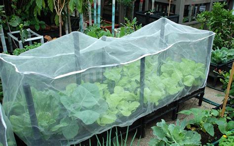 Insect Prevention Net /garden Netting For Vegetable Greenhouse - Buy ...