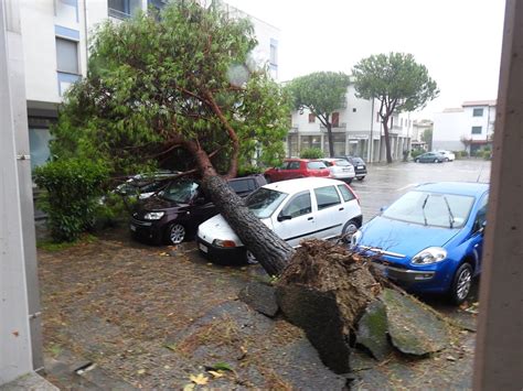 Maltempo Le Strade Da Evitare Attenzione Alle Cantine Allagate FOTO