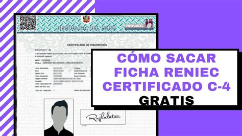 C Mo Realizar Una R Pida Consulta De Dni En Reniec Por N Mero Gu A