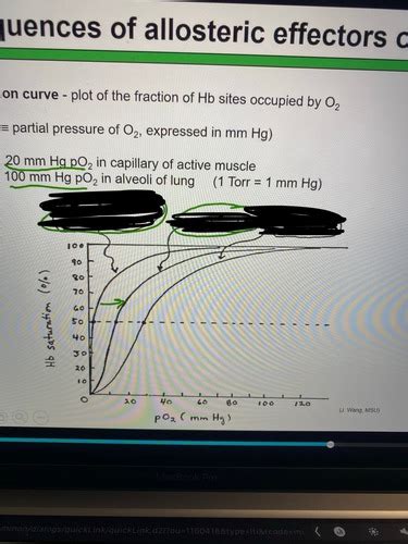 BIOCHEM OST Flashcards Quizlet