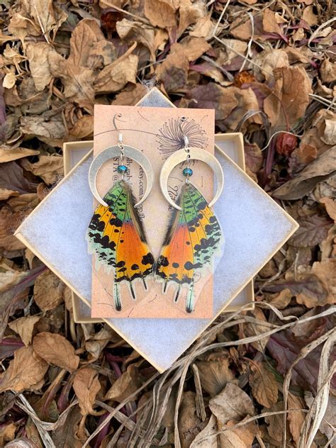 Real Butterfly Wing Earrings Madagascar Sunset Moth Crescent Etsy