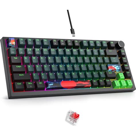 Wired 75 Percent Mechanical Keyboard Hot Swappable Red Switch RGB Backlit 82 Keys TKL
