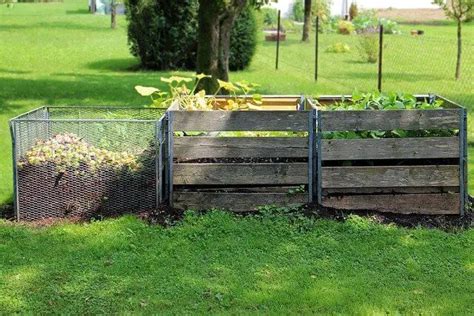 Composting Leaves For Garden: Step By Step Guide