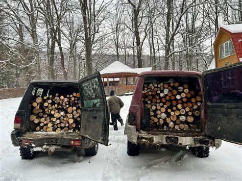 T Ieri Ilegale De Arbori La Arpa U De Sus Doi Localnici S Au Ales Cu