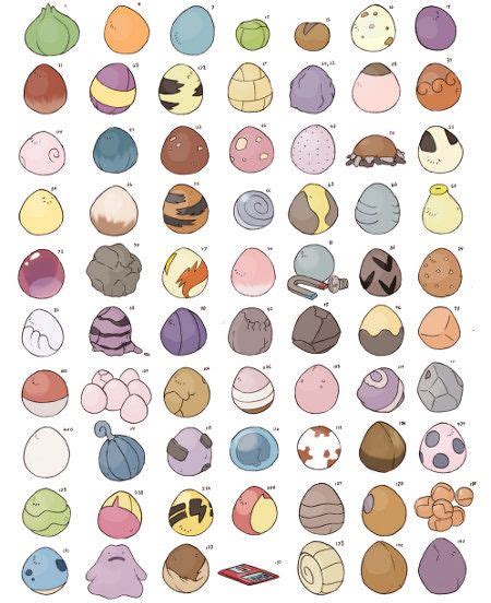 an image of different types of eggs on a white background, with the ...