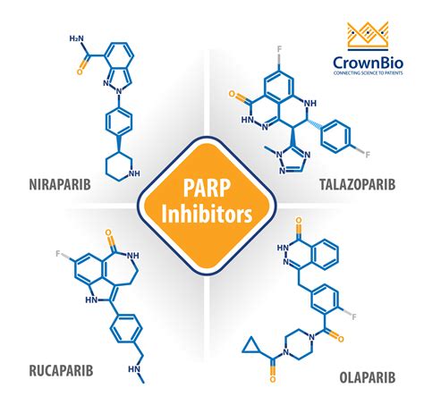 Parp抑制剂：2020年的当前状态及未来发展 Crown Bioscience