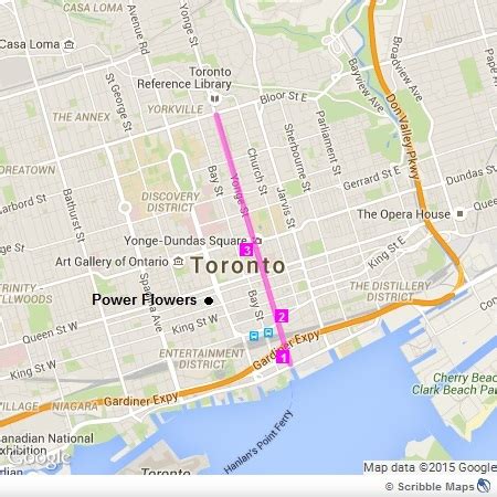 Yonge Street - Downtown Toronto Flower Delivery - Power Flowers