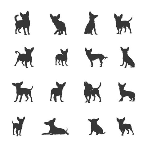 Chihuahua dog silhouettes, Chihuahua dog silhouette set 16469814 Vector Art at Vecteezy