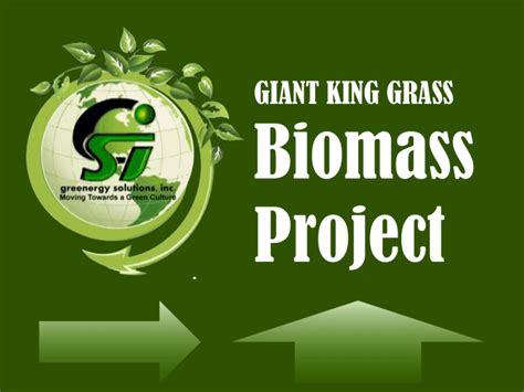 Giant King Grass Biomass Project: Renewable Energy in Philippines 