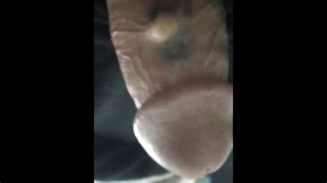 Early Weekday Pornhub Gay