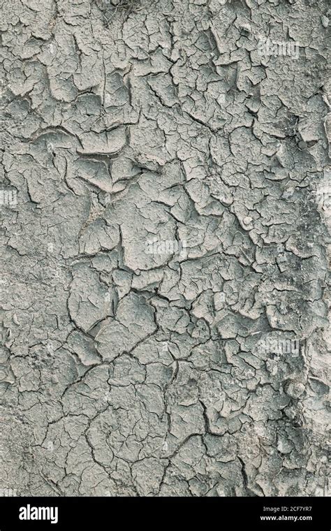 Background Dry Cracked Soil Dirt Or Earth During Drought Dry Cracked