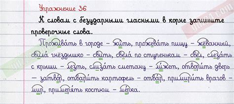 Русский язык 5 класс 1 часть упражнение 60: Упражнение 60 - ГДЗ Русский ...
