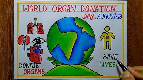 World Organ Donation Day Poster Drawing August How To Draw