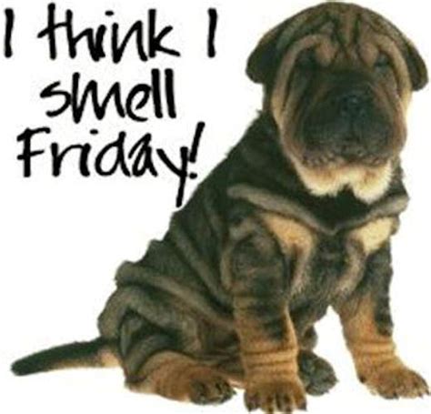 I Think I Smell Friday Pictures Photos And Images For Facebook