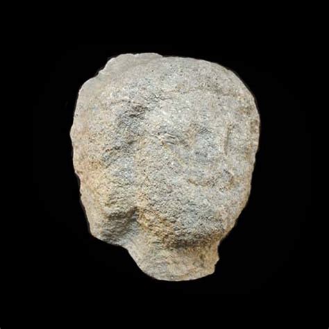 Egyptian Egyptian Limestone Head Of A Male Wears Short Wig Old Kingdom