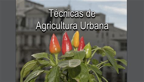 Guia de técnicas de Agricultura Urbana InfoAgronomo