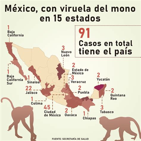 México Reporta 91 Contagios De Viruela Del Mono En 15 Estados El