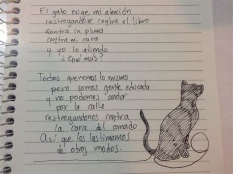 Img Poemas De Gato Blog De Poesia Poemas