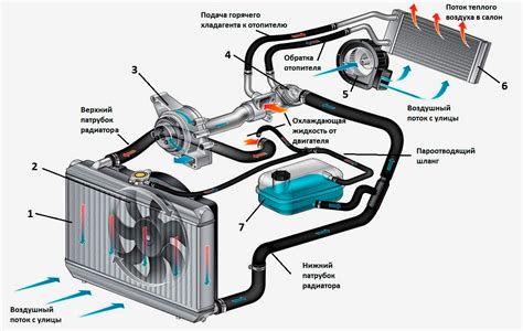 Промывка системы охлаждения зачем как и когда её делать Autonews