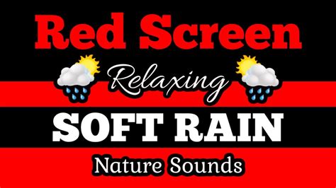 🟥RED SCREEN 🌦️SOFT RAIN 🌲Soothing Nature Sounds - YouTube