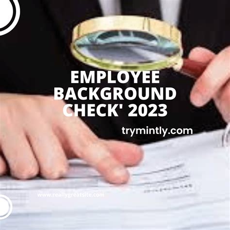 The Ultimate Employee Background Check Guide 2023 - Mintly