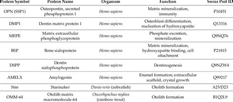 The Best Characterized Calcium Binding Proteins Involved In