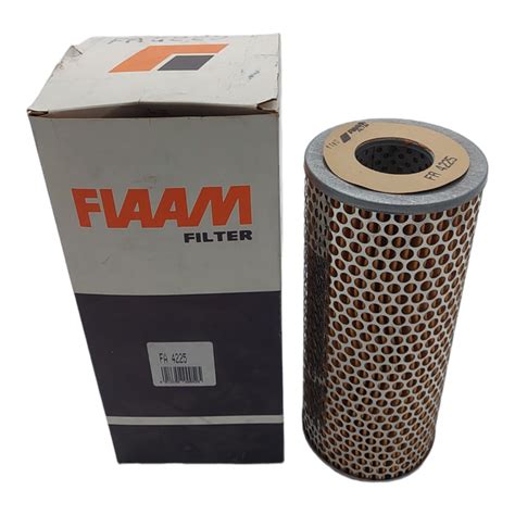 Filtro Olio Compatibile Per Renault Trucks C G Manager Fiaam Filter