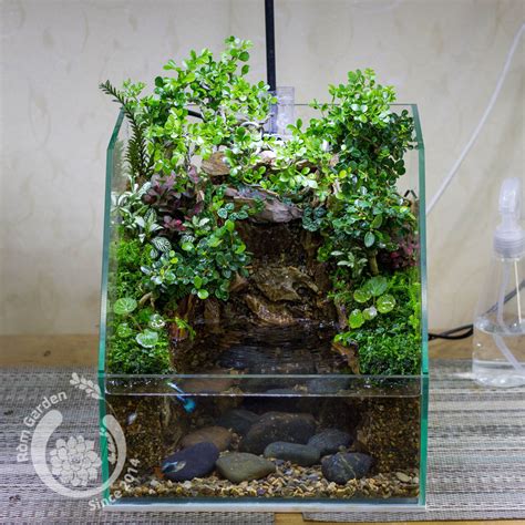 Simple Diy Feeder Fish Breeding Setup Care Guide Artofit