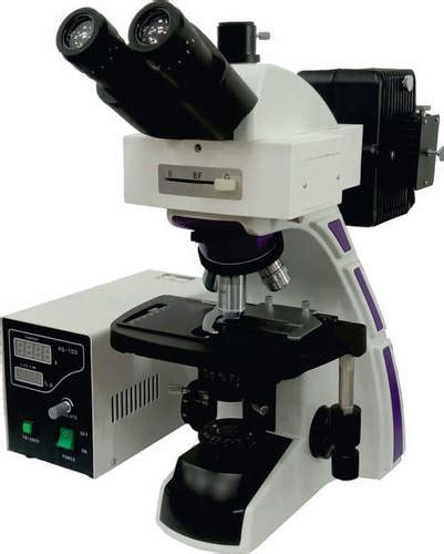 Epi Fluorescence Microscope At Best Price In Ambala Cantt Haryana