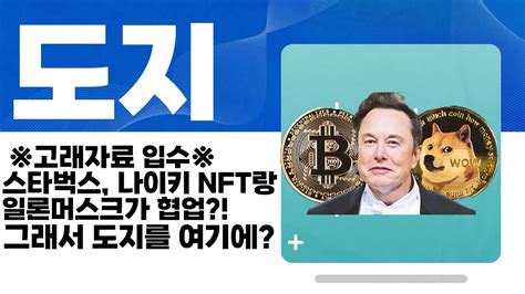 도지 코인 고래자료 입수 스타벅스 나이키 NFT랑 일론머스크가 협업 그래서 도지를 여기에 도지코인 YouTube