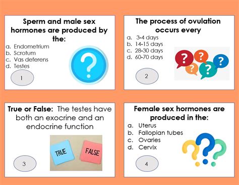 All About The Reproductive Systems Task Cards Anatomy Biology Teaching Resources