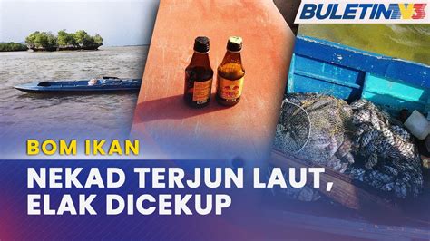 Bom Ikan Tekong Terjun Laut Elak Ditahan Youtube