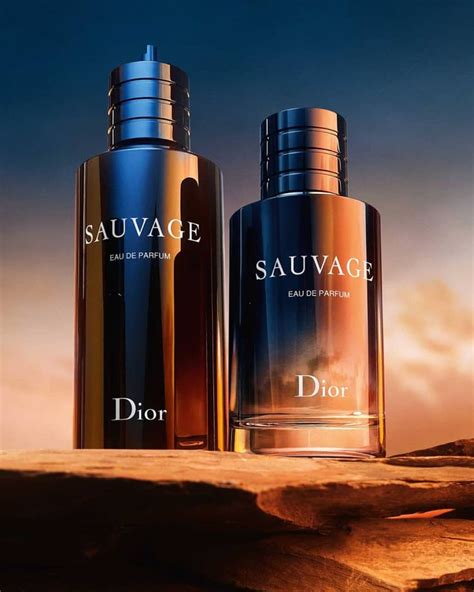 Sauvage Eau de Parfum | Dior perfume, Perfume, Fragrance