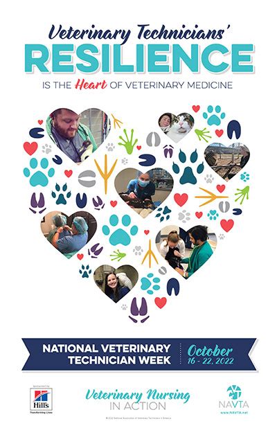 Veterinary Technician Week